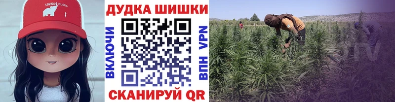 Шишки марихуана Amnesia  Купить закладки  Льгов 